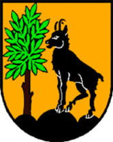 Wappen Bad Ischl